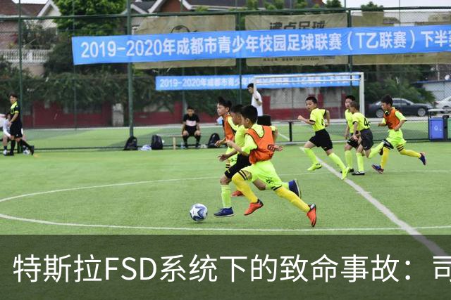 特斯拉FSD系统下的致命事故：司机睡熟，警车受损